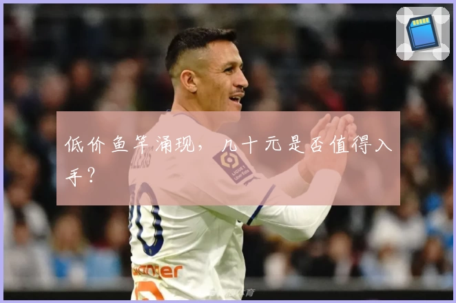 低价鱼竿涌现，几十元是否值得入手？