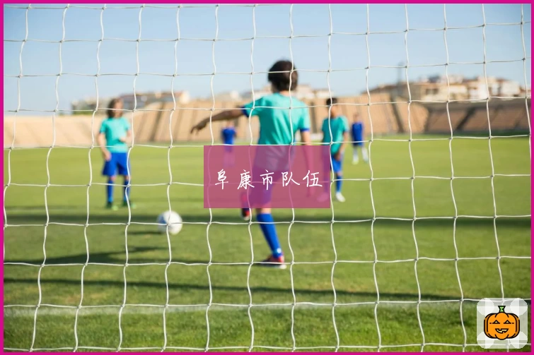 阜康市队伍