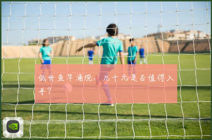 低价鱼竿涌现，几十元是否值得入手？